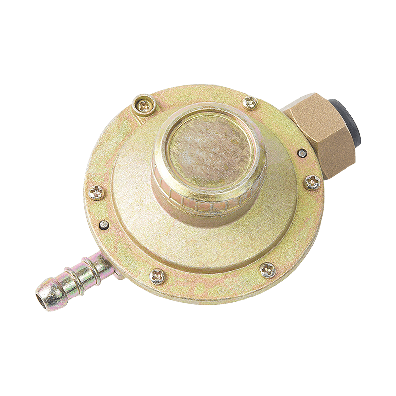 Regolatore di gas da campeggio GPL compatto premium per bombola di gas portatile
